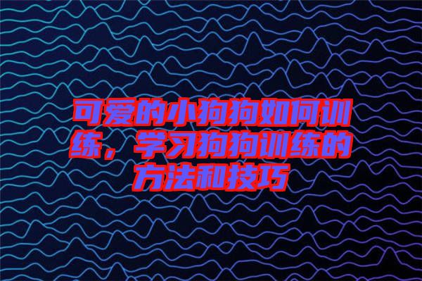 可愛的小狗狗如何訓練，學習狗狗訓練的方法和技巧