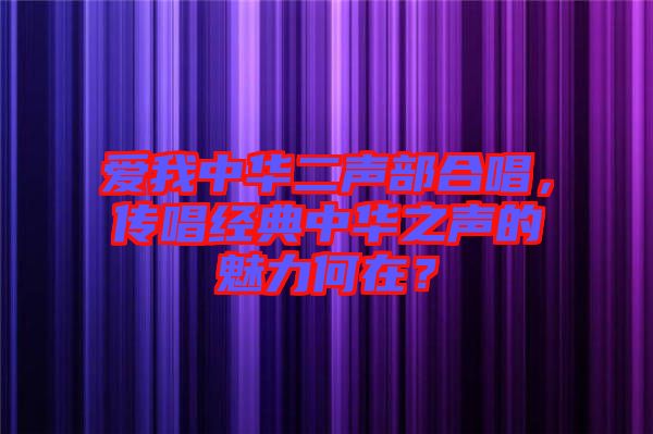 愛我中華二聲部合唱，傳唱經典中華之聲的魅力何在？