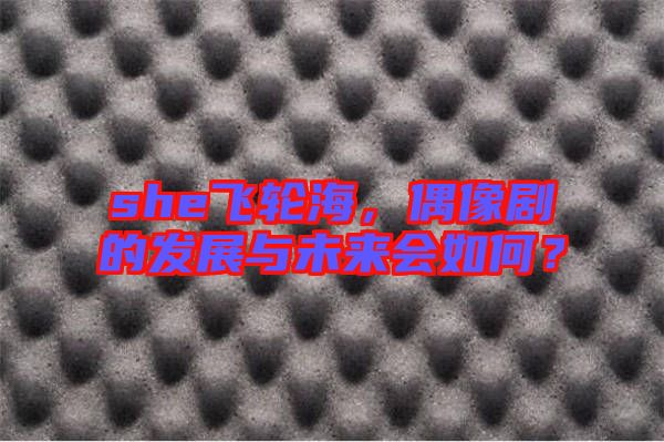 she飛輪海，偶像劇的發(fā)展與未來會如何？