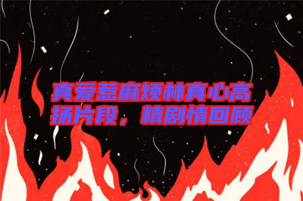 真愛惹麻煩林真心高揚(yáng)片段，精劇情回顧