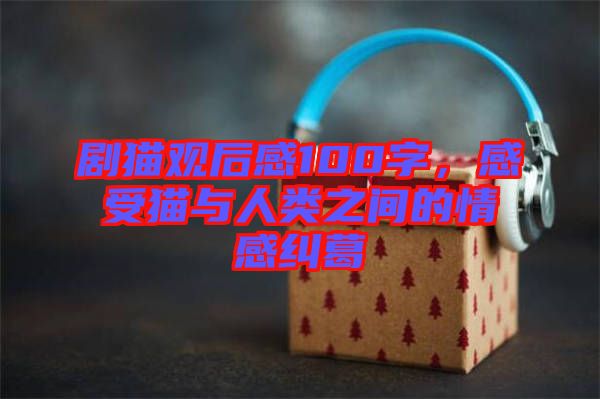 劇貓觀后感100字，感受貓與人類之間的情感糾葛
