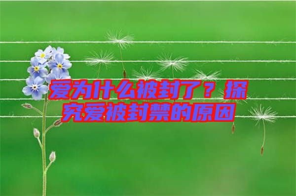 愛(ài)為什么被封了？探究愛(ài)被封禁的原因