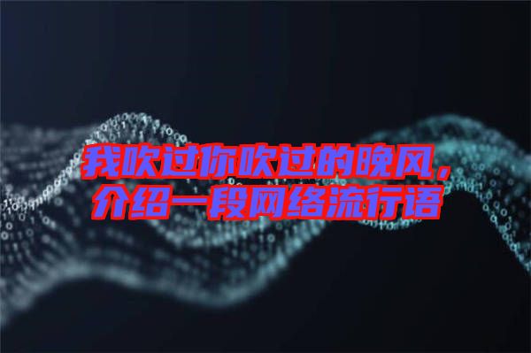 我吹過你吹過的晚風，介紹一段網(wǎng)絡(luò)流行語