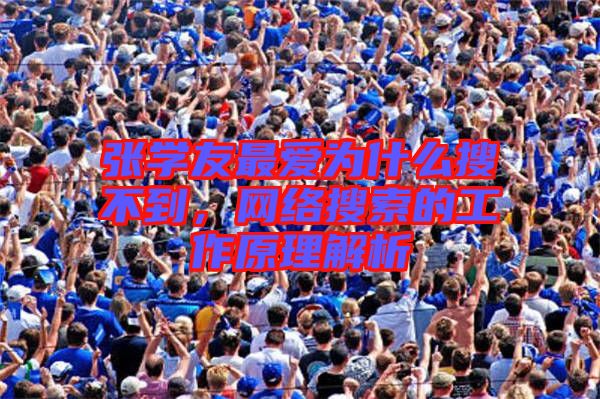 張學(xué)友最愛為什么搜不到，網(wǎng)絡(luò)搜索的工作原理解析