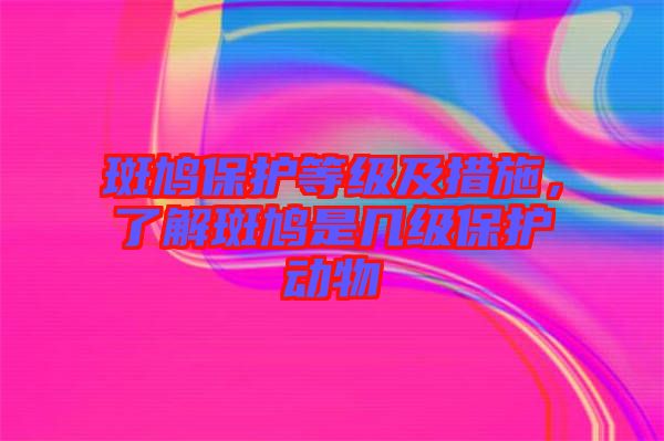 斑鳩保護(hù)等級及措施，了解斑鳩是幾級保護(hù)動物
