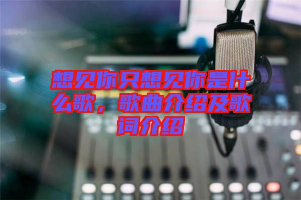 想見(jiàn)你只想見(jiàn)你是什么歌，歌曲介紹及歌詞介紹