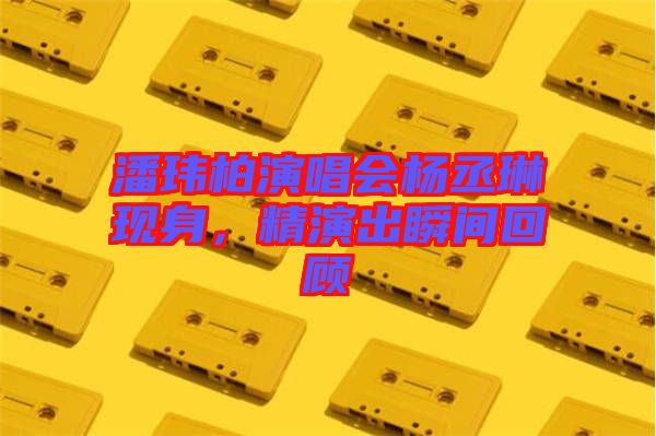潘瑋柏演唱會(huì)楊丞琳現(xiàn)身，精演出瞬間回顧