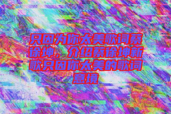只因為你太美歌詞蔡徐坤，介紹蔡徐坤新歌只因你太美的歌詞意境
