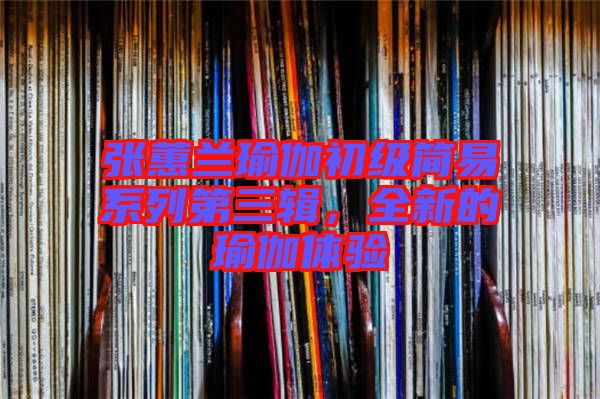 張蕙蘭瑜伽初級簡易系列第三輯，全新的瑜伽體驗(yàn)