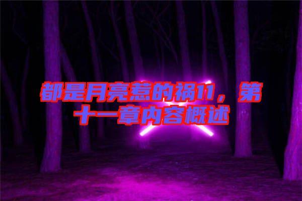 都是月亮惹的禍11，第十一章內(nèi)容概述