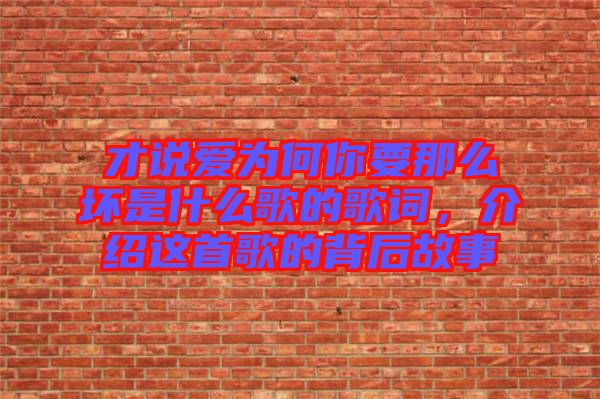 才說(shuō)愛(ài)為何你要那么壞是什么歌的歌詞，介紹這首歌的背后故事