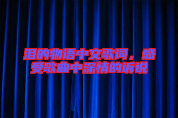 淚的物語(yǔ)中文歌詞，感受歌曲中深情的訴說(shuō)
