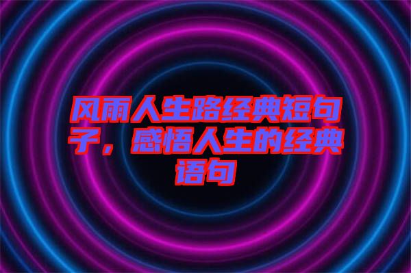 風(fēng)雨人生路經(jīng)典短句子，感悟人生的經(jīng)典語句