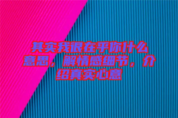 其實(shí)我很在乎你什么意思，解情感細(xì)節(jié)，介紹真實(shí)心意