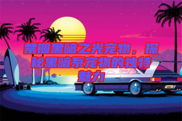 禁錮黑暗之光寵物，探秘黑暗系寵物的獨(dú)特魅力