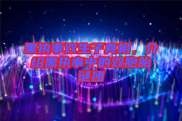 黑執(zhí)事雙生子真相，介紹黑執(zhí)事中的雙胞胎謎團