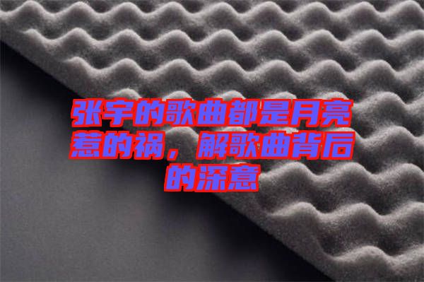 張宇的歌曲都是月亮惹的禍，解歌曲背后的深意