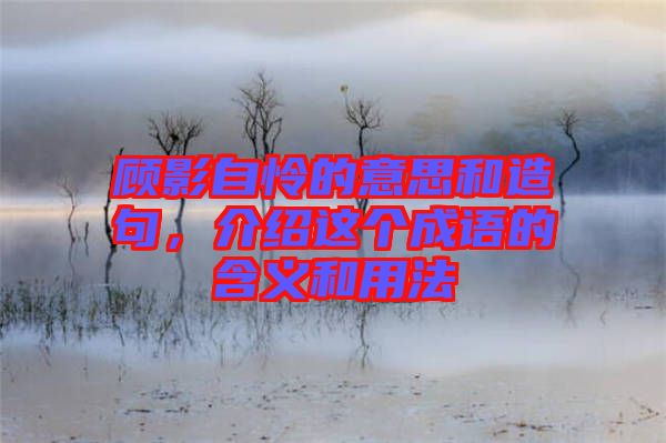 顧影自憐的意思和造句，介紹這個(gè)成語的含義和用法