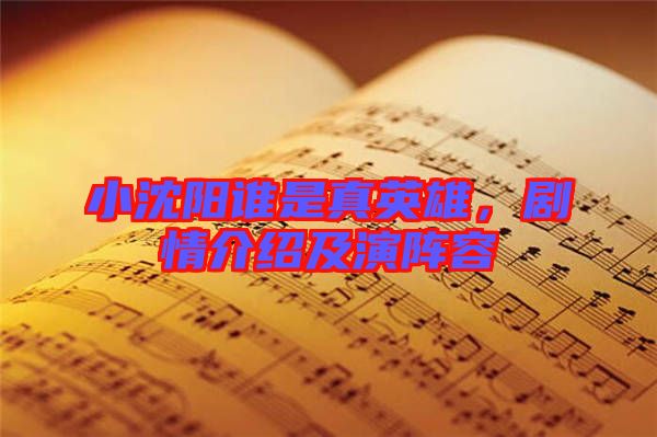 小沈陽誰是真英雄，劇情介紹及演陣容