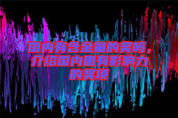 國內(nèi)有含金量的獎(jiǎng)嗎，介紹國內(nèi)圈有影響力的獎(jiǎng)項(xiàng)