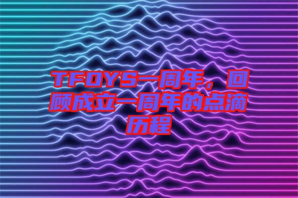 TFOYS一周年，回顧成立一周年的點滴歷程