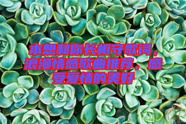 本想和你長相守歌詞，浪漫情感歌曲推薦，感受愛情的美好