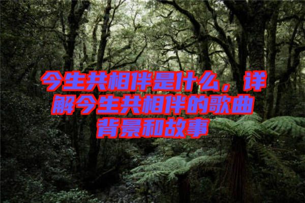 今生共相伴是什么，詳解今生共相伴的歌曲背景和故事