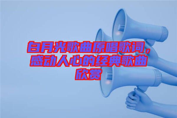 白月光歌曲原唱歌詞，感動(dòng)人心的經(jīng)典歌曲欣賞