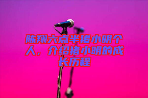 陳翔六點半豬小明個人，介紹豬小明的成長歷程