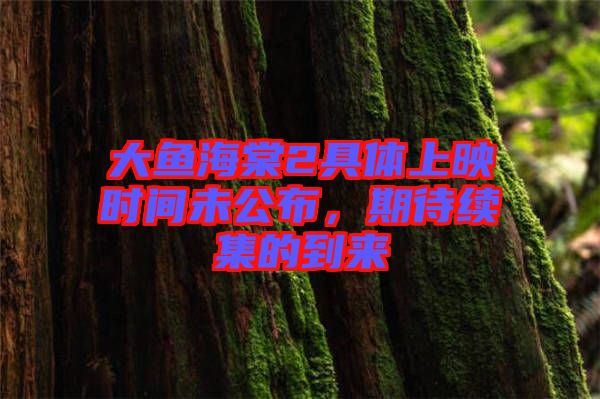 大魚海棠2具體上映時(shí)間未公布，期待續(xù)集的到來