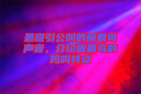 最吸引公叫的畫眉母聲音，介紹畫眉鳥(niǎo)的鳴叫特點(diǎn)
