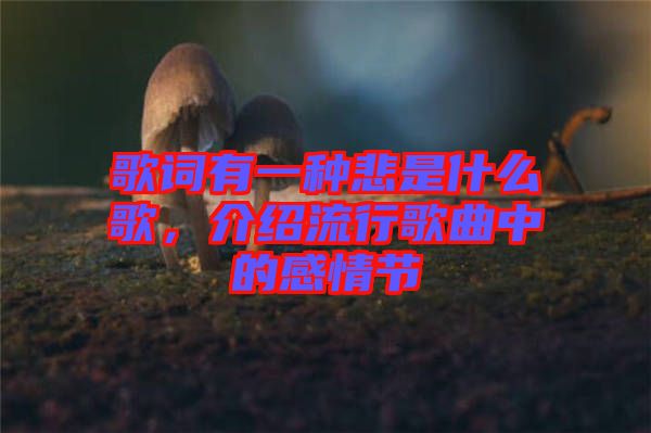 歌詞有一種悲是什么歌，介紹流行歌曲中的感情節(jié)