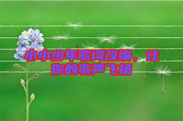 小小少年歌詞改編，讓你的歌聲飛揚(yáng)