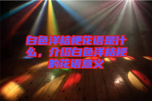 白色洋桔?；ㄕZ是什么，介紹白色洋桔梗的花語意義