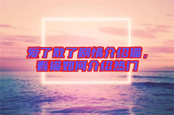 愛了散了劇情介紹貓，看貓如何介紹熱門