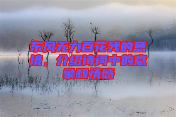 東風(fēng)無力百花殘的意境，介紹詩詞中的意象和情感