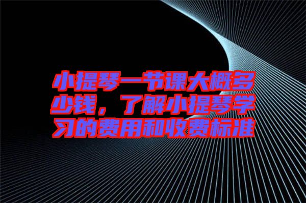 小提琴一節(jié)課大概多少錢，了解小提琴學習的費用和收費標準