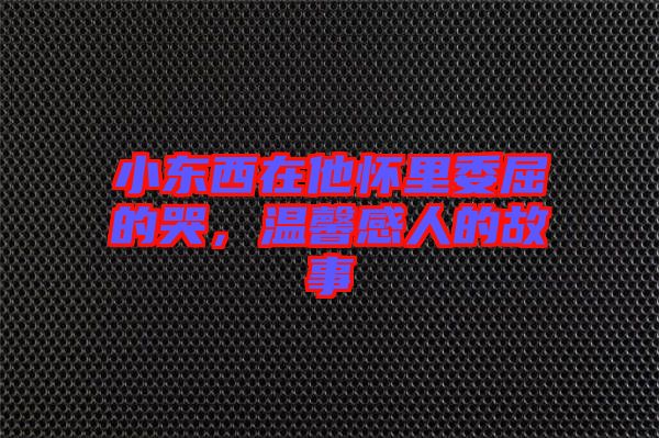 小東西在他懷里委屈的哭，溫馨感人的故事
