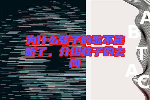為什么弦子的歌不能聽了，介紹弦子的去向