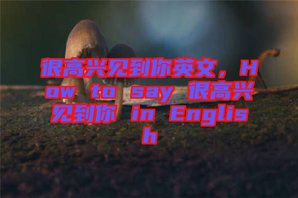 很高興見到你英文，How to say 很高興見到你 in English