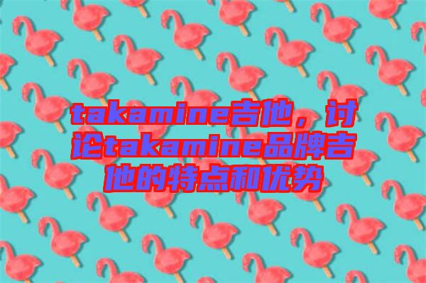 takamine吉他，討論takamine品牌吉他的特點(diǎn)和優(yōu)勢(shì)