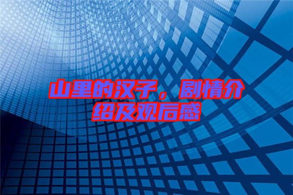 山里的漢子，劇情介紹及觀后感