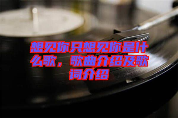 想見你只想見你是什么歌，歌曲介紹及歌詞介紹