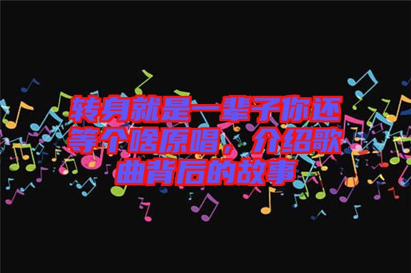 轉(zhuǎn)身就是一輩子你還等個(gè)啥原唱，介紹歌曲背后的故事