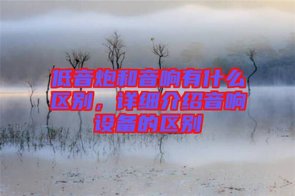 低音炮和音響有什么區(qū)別，詳細(xì)介紹音響設(shè)備的區(qū)別
