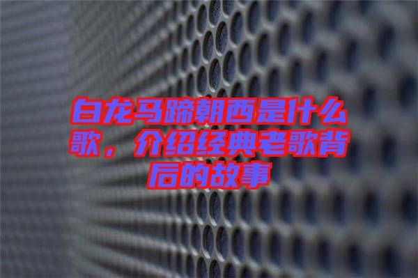 白龍馬蹄朝西是什么歌，介紹經典老歌背后的故事