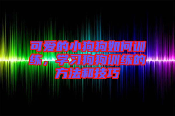 可愛的小狗狗如何訓(xùn)練，學(xué)習(xí)狗狗訓(xùn)練的方法和技巧