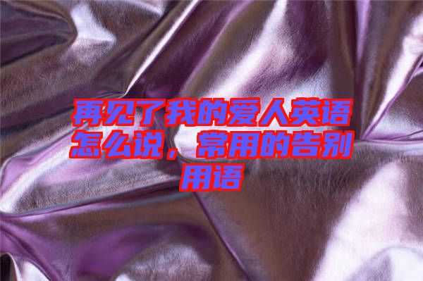 再見了我的愛人英語怎么說，常用的告別用語