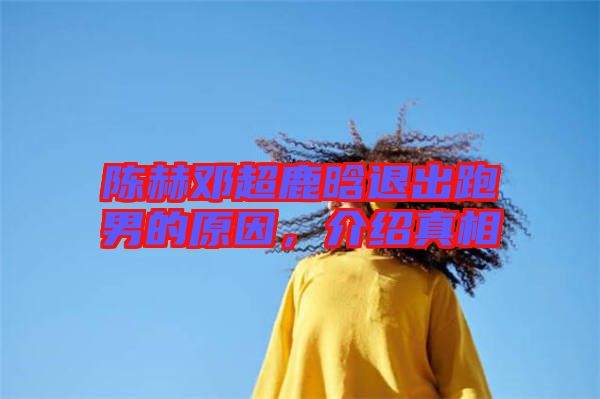 陳赫鄧超鹿晗退出跑男的原因，介紹真相