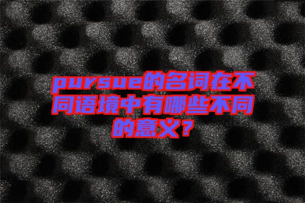 pursue的名詞在不同語境中有哪些不同的意義？